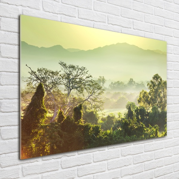 Cuadro metacrilato horizontal Selva