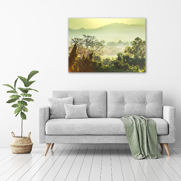 Cuadro metacrilato horizontal Selva