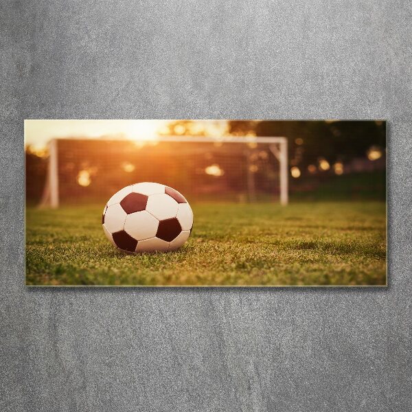 Cuadro acrílico horizontal El balón en el campo