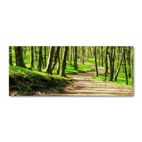 Foto en metacrilato horizontal Camino en el bosque