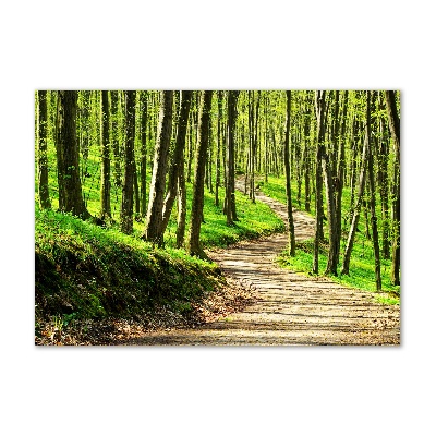 Foto en metacrilato horizontal Camino en el bosque