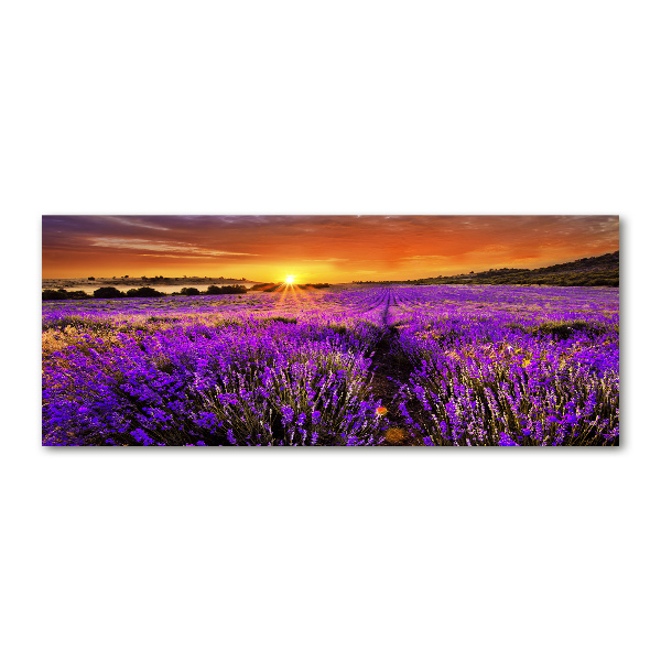 Cuadro acrílico horizontal campo de lavanda
