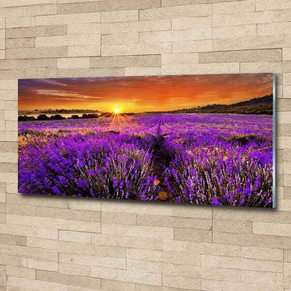 Cuadro acrílico horizontal campo de lavanda