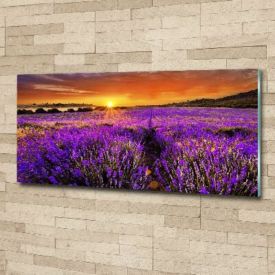 Cuadro acrílico horizontal campo de lavanda