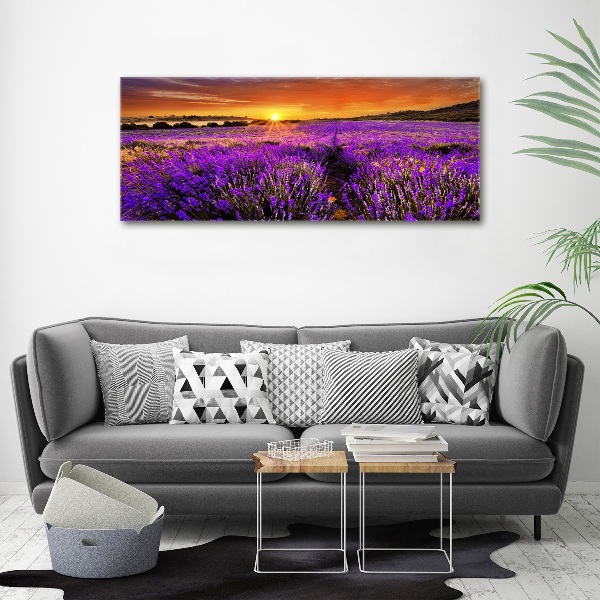 Cuadro acrílico horizontal campo de lavanda