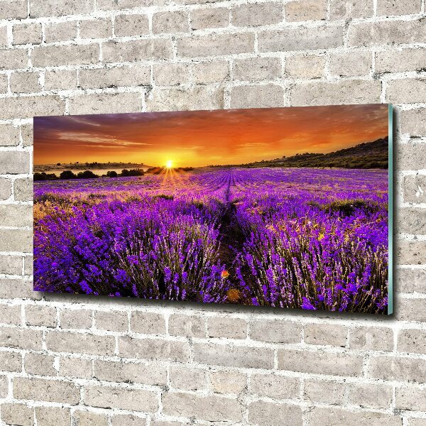Cuadro acrílico horizontal campo de lavanda
