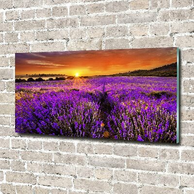 Cuadro acrílico horizontal campo de lavanda