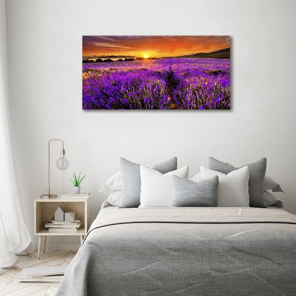 Cuadro acrílico horizontal campo de lavanda
