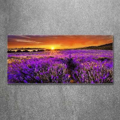 Cuadro acrílico horizontal campo de lavanda