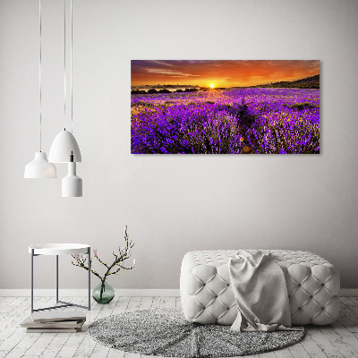 Cuadro acrílico horizontal campo de lavanda