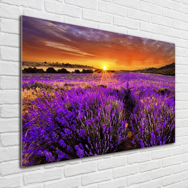 Cuadro acrílico horizontal campo de lavanda