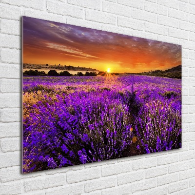 Cuadro acrílico horizontal campo de lavanda
