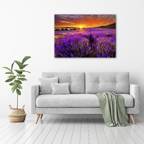 Cuadro acrílico horizontal campo de lavanda