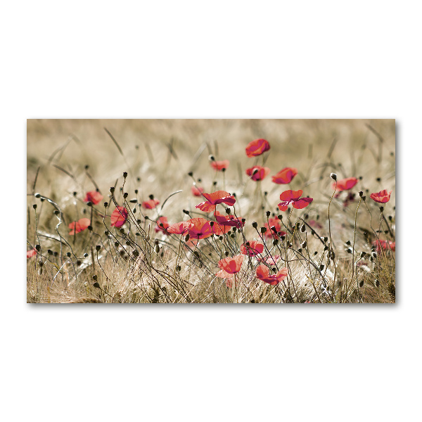 Cuadro metacrilato horizontal Amapolas