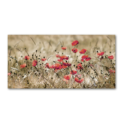 Cuadro metacrilato horizontal Amapolas