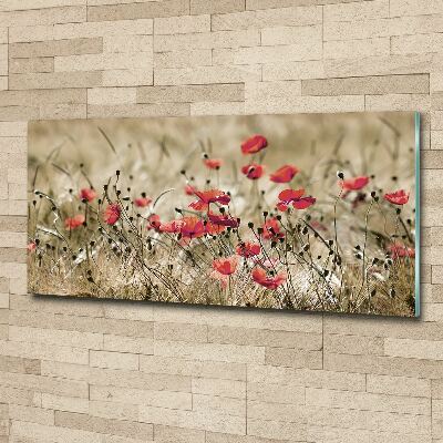 Cuadro metacrilato horizontal Amapolas