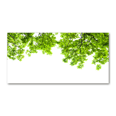 Cuadro acrílico horizontal hojas de roble