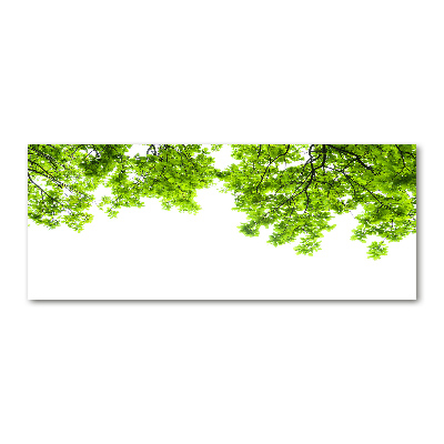 Cuadro acrílico horizontal hojas de roble