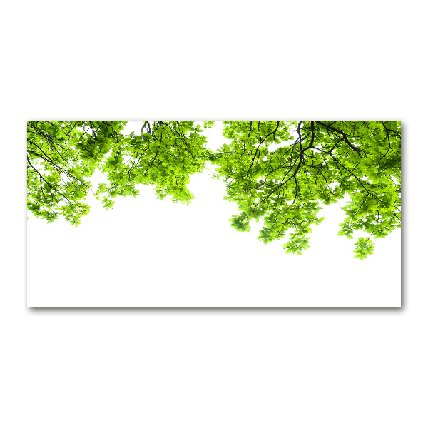 Cuadro acrílico horizontal hojas de roble