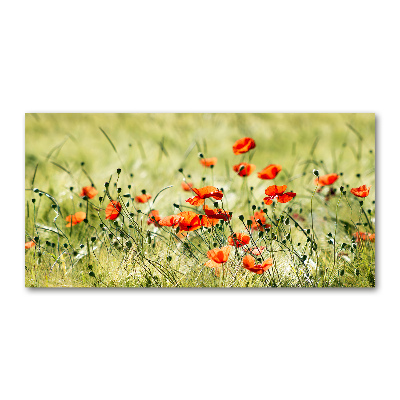 Pintura en acrílico horizontal Amapolas