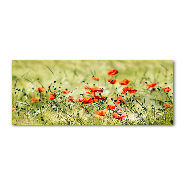 Pintura en acrílico horizontal Amapolas