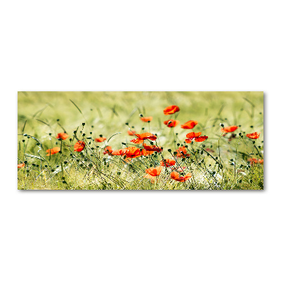Pintura en acrílico horizontal Amapolas