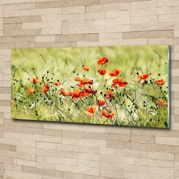 Pintura en acrílico horizontal Amapolas