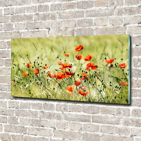 Pintura en acrílico horizontal Amapolas