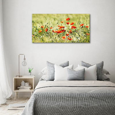 Pintura en acrílico horizontal Amapolas