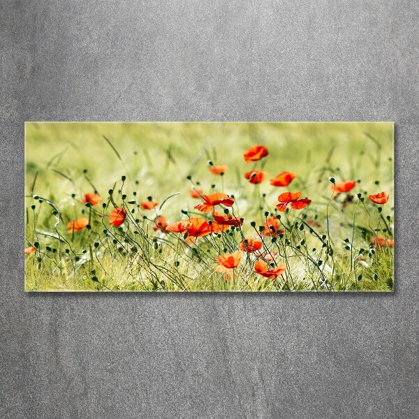Pintura en acrílico horizontal Amapolas