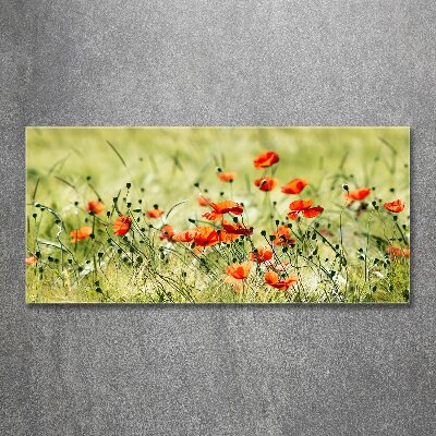 Pintura en acrílico horizontal Amapolas
