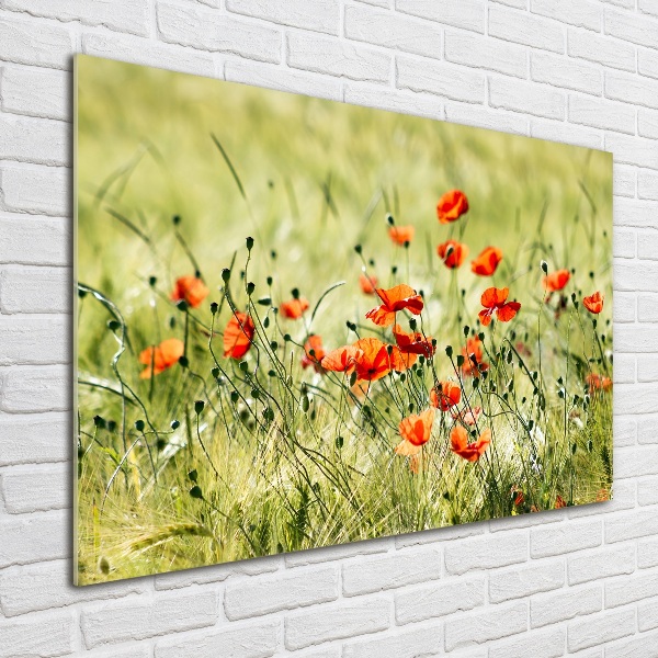 Pintura en acrílico horizontal Amapolas