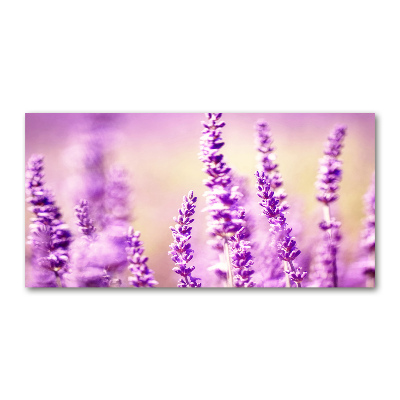 Cuadro metacrilato horizontal Lavanda