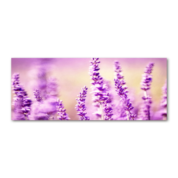 Cuadro metacrilato horizontal Lavanda