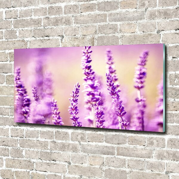 Cuadro metacrilato horizontal Lavanda