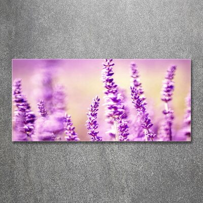 Cuadro metacrilato horizontal Lavanda