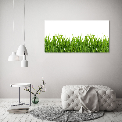 Obraz zdjęcie nowoczesny akrylowy Trawa