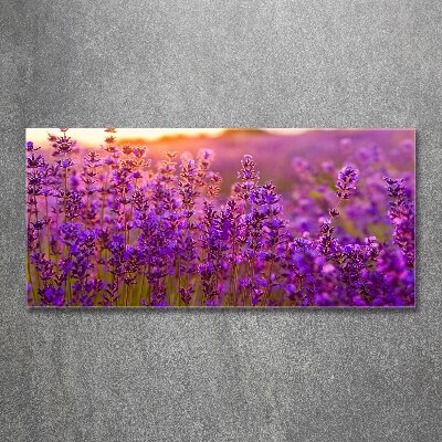 Cuadro acrílico horizontal campo de lavanda