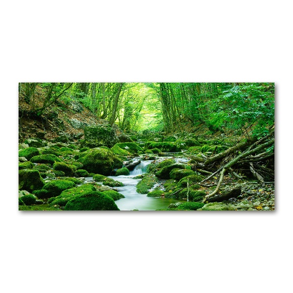 Pintura en acrílico horizontal Un arroyo en el bosque