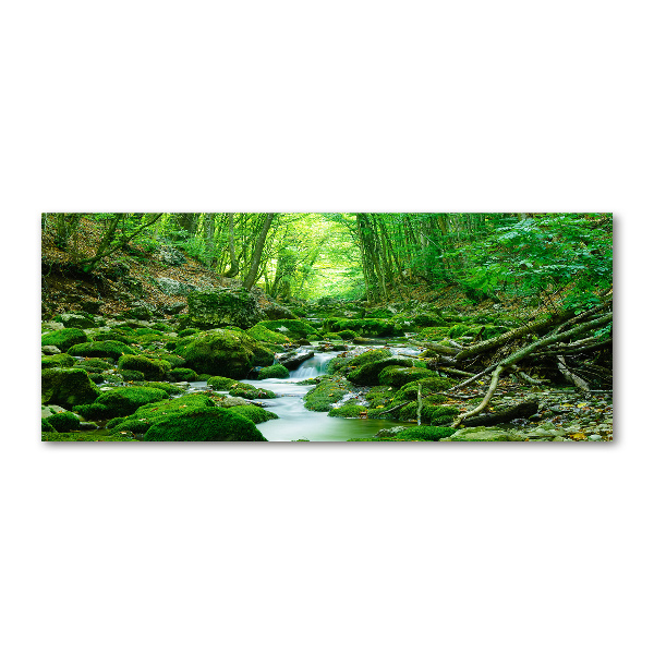 Pintura en acrílico horizontal Un arroyo en el bosque