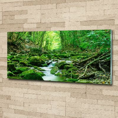 Pintura en acrílico horizontal Un arroyo en el bosque