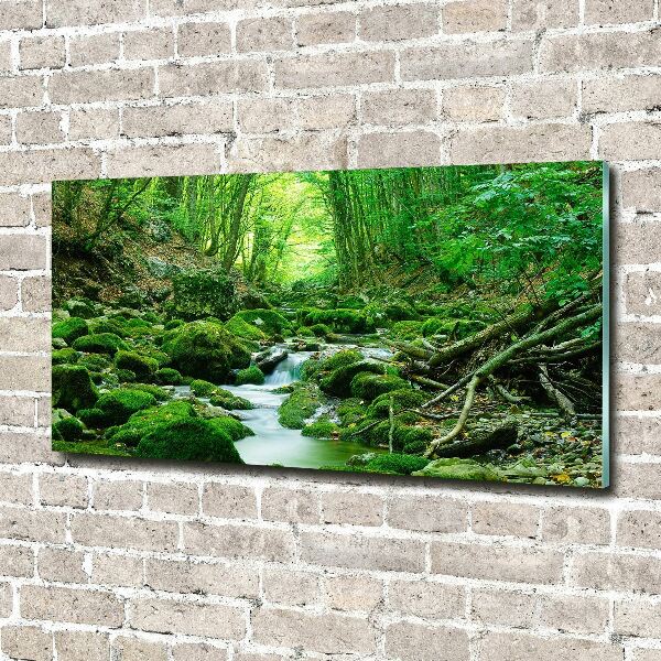 Pintura en acrílico horizontal Un arroyo en el bosque