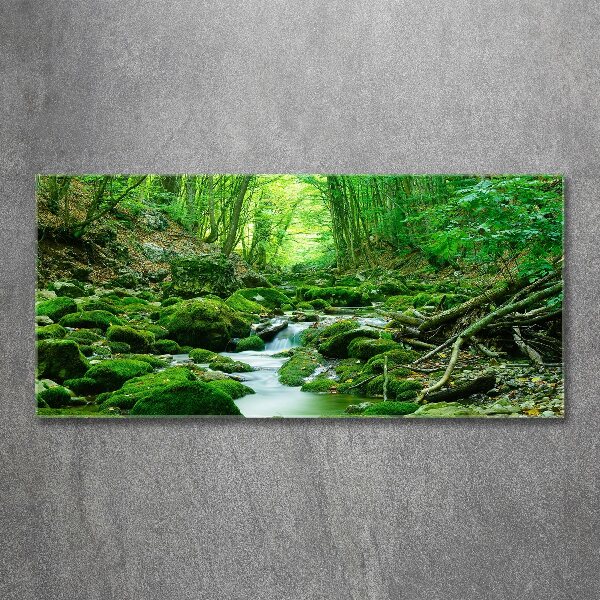 Pintura en acrílico horizontal Un arroyo en el bosque
