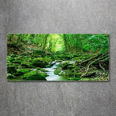 Pintura en acrílico horizontal Un arroyo en el bosque