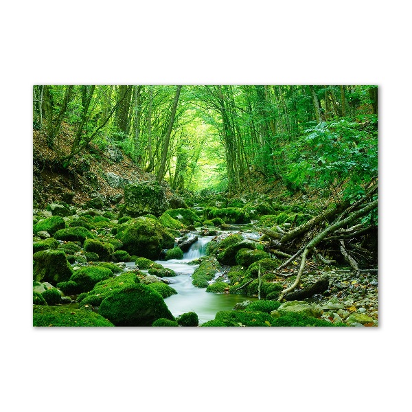 Pintura en acrílico horizontal Un arroyo en el bosque