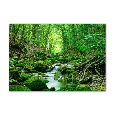Pintura en acrílico horizontal Un arroyo en el bosque