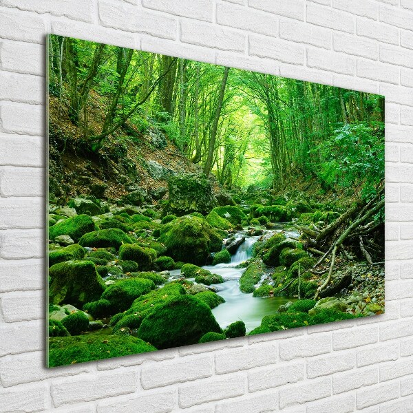 Pintura en acrílico horizontal Un arroyo en el bosque
