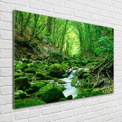 Pintura en acrílico horizontal Un arroyo en el bosque