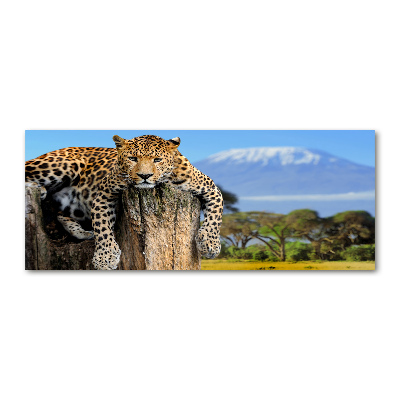 Pintura en acrílico horizontal Leopardo en un tocón de árbol