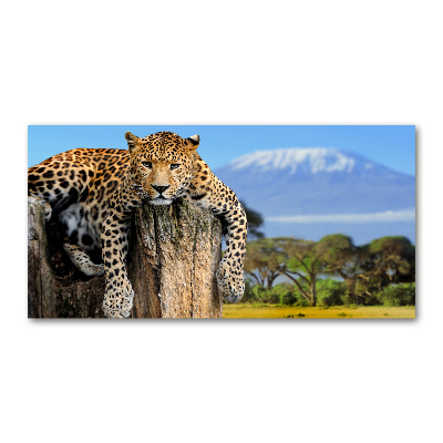 Pintura en acrílico horizontal Leopardo en un tocón de árbol